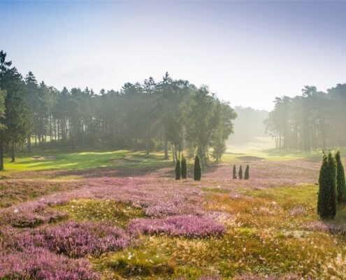 Hamburger Golfclub Falkenstein