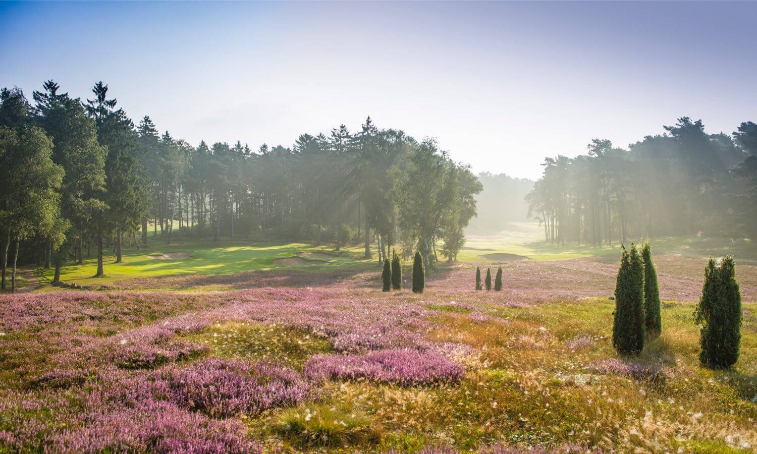 Hamburger Golfclub Falkenstein